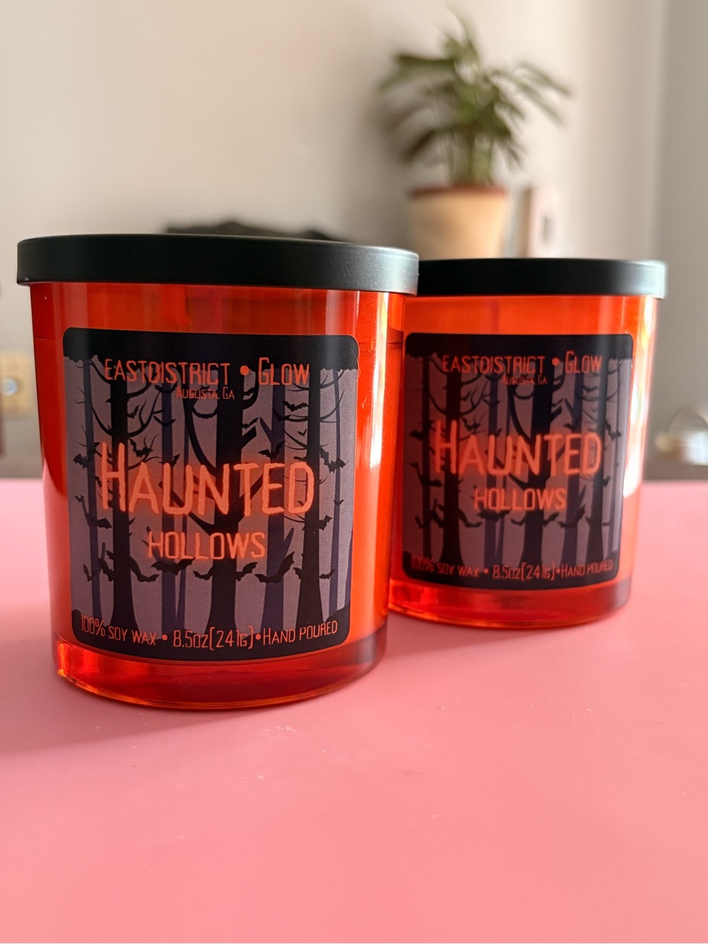 Haunted Hollows | 8.5oz | Handmade | Soy Wax Candle